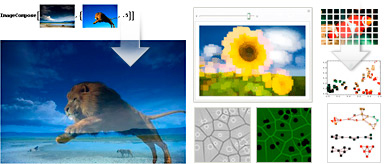 Built-In Image Processing & Analysis Built-In Image Processing & Analysis